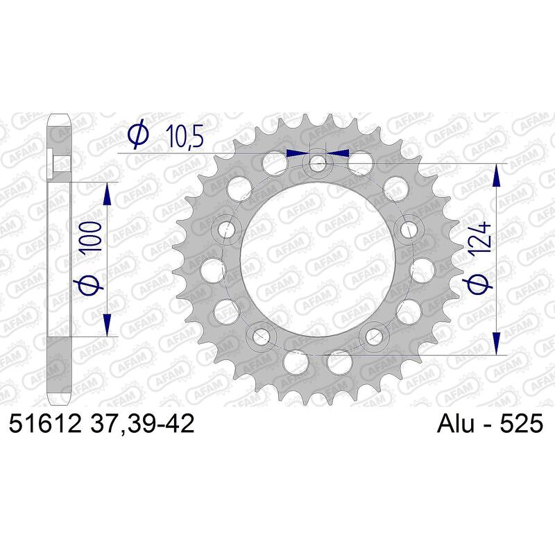 Afam Bakdrev, Aluminium #525 - Ducati 749 Dark/r/s   41