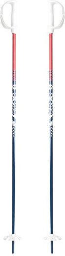 ROXY JR SKI POLES