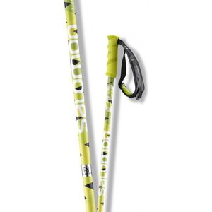 Salomon Hacker Poles Black Green 105 BLACK GREEN