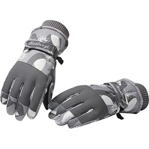 SEDEX Gants Ski Femme d'hiver Chaud Tactile Impermeable Gants de Ski Thermique Antidérapants Polaire Gloves Hiver Neige d'Extérieur Sport Snowboard Cyclisme Moto Velo Scooter Running Randonnée, Gris T - Publicité