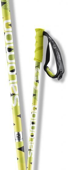 Salomon HACKER POLES BLACK GREEN 130