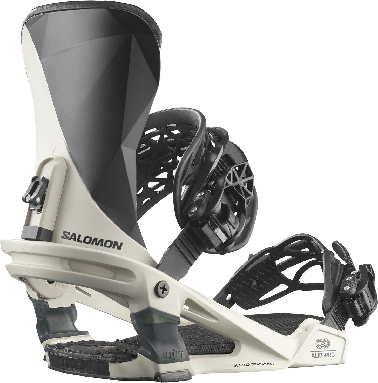 Salomon ALIBI PRO RAINY DAY M