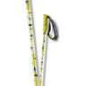 SALOMON HACKER POLES BLACK GREEN 130  - BLACK GREEN - unisex