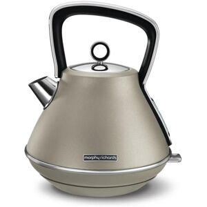 Morphy Richards - Evoke Special Edition Retro Wasserkocher 1,5 l 2200 w Platin