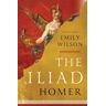 Norton & Company The Iliad