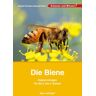 Hase und Igel Verlag Die Biene - Kopiervorlagen für die 2. bis 4. Klasse