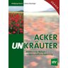 Stocker, L Ackerunkräuter