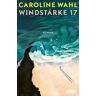 DUMONT Buchverlag Windstärke 17