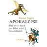 C.H.Beck Apokalypse