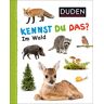 unbekannt - Kennst du das? Im Wald: Kennst du Im Wald (DUDEN Pappbilderbücher Kennst Du das?) - Preis vom 16.05.2024 04:53:48 h