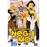 Ken Akamatsu - Negima !, Tome 16 : - Preis vom 17.05.2024 04:53:12 h