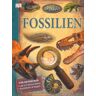 Lupe zum Herausnehmen - Lupenbuch: Fossilien - Preis vom 17.05.2024 04:53:12 h