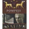 Paul Wilkinson - Pompeji - Der letzte Tag. - Preis vom 19.05.2024 04:53:53 h