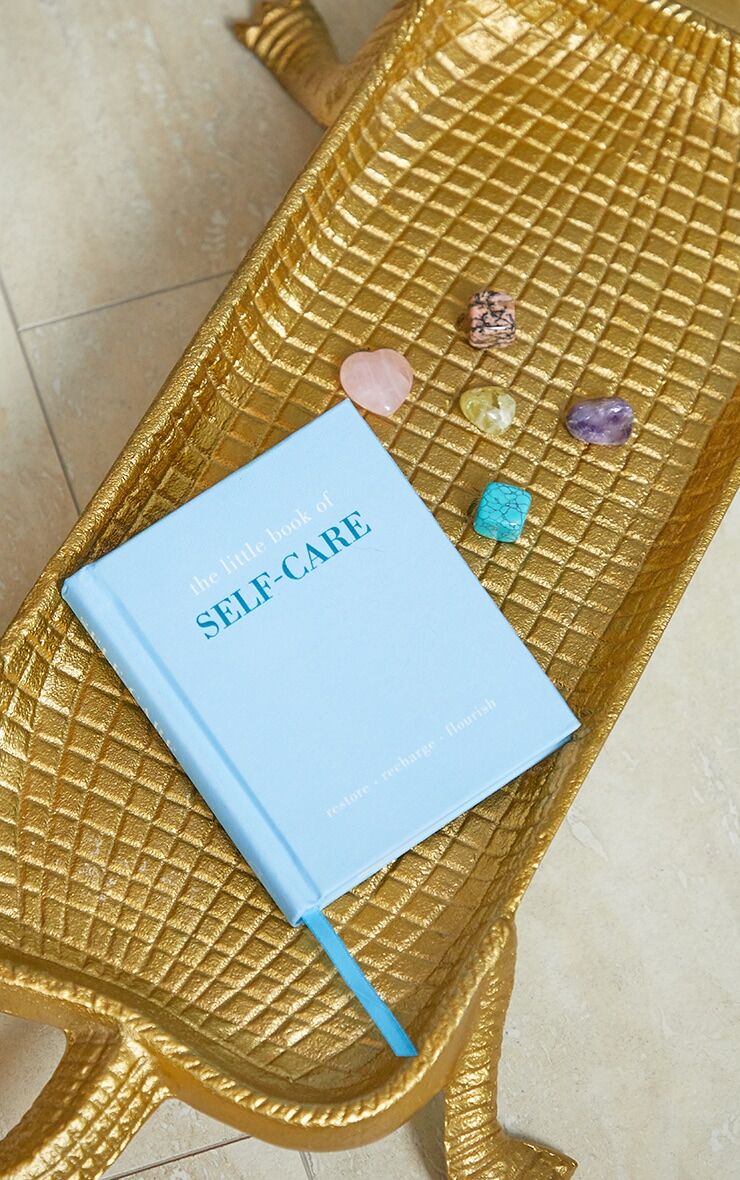 PrettyLittleThing The Little Book of Self-Care  - Blue - Size: One Size