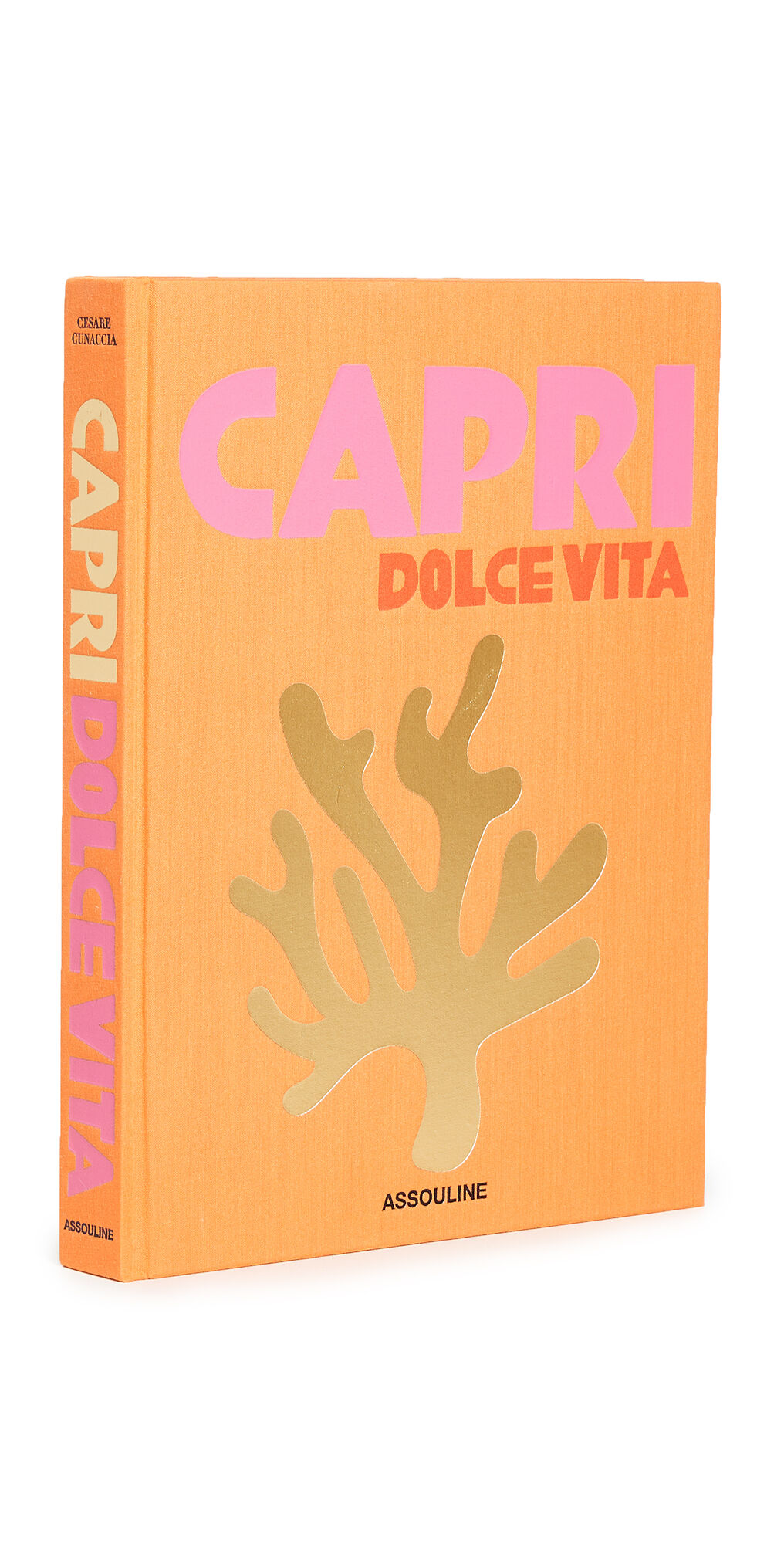 Books with Style Capri Dolce Vita Orange One Size    size: