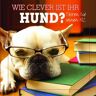 Wie Clever Ist Ihr Hund