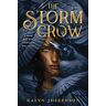 Kalyn Josephson The Storm Crow (Storm Crow, 1, Band 1)