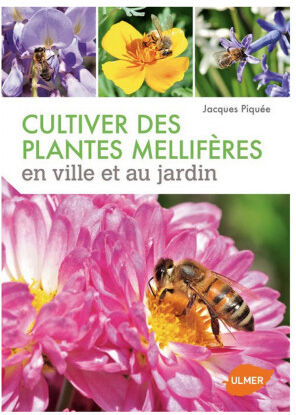 Editions Eugen Ulmer Cultiver des plantes mellifères en ville et au jardin