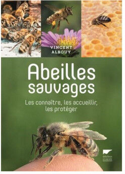 Editions Delachaux et Niestlé - 130 ans de livres nature Abeilles sauvages, les connaître, les accueillir, les protéger