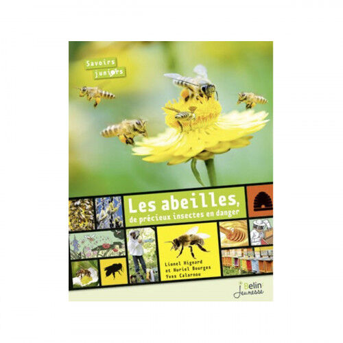 Editions Belin Les abeilles, de précieux insectes en danger