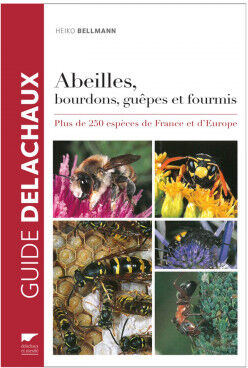 Editions Delachaux et Niestlé - 130 ans de livres nature Abeilles, bourdons, guêpes et fourmis