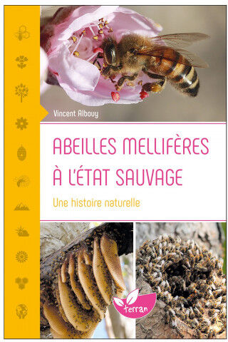 Editions de Terran Abeilles mellifères à l'état sauvage