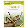 DK Verlag Dorling Kindersley Insekten und Spinnentiere / memo Kids Band 4