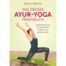 Via Nova Das große Ayur-Yoga-Praxisbuch