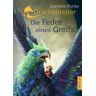 Dressler Die Feder eines Greifs / Drachenreiter Band 2