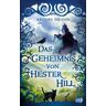 CBJ Das Geheimnis von Hester Hill