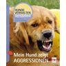 Müller Rüschlikon Mein Hund zeigt Aggressionen