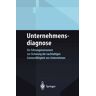 Springer Berlin Unternehmensdiagnose