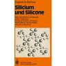 Springer Berlin Silicium und Silicone