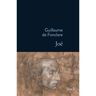 Stock Joe - Guillaume De Fonclare - broché