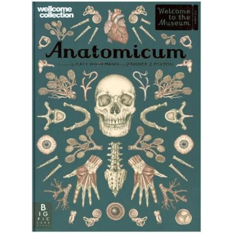 Big Picture Press Anatomicum