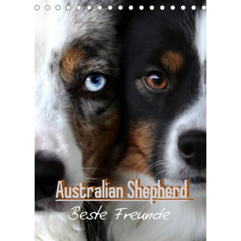 Calvendo Australian Shepherd - Beste Freunde (Tischkalender 2022 DIN A5 hoch)