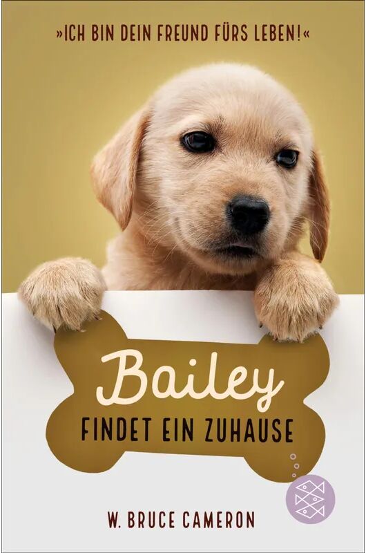 FISCHER Kinder- und Jugendtaschenbuch Bailey findet ein Zuhause