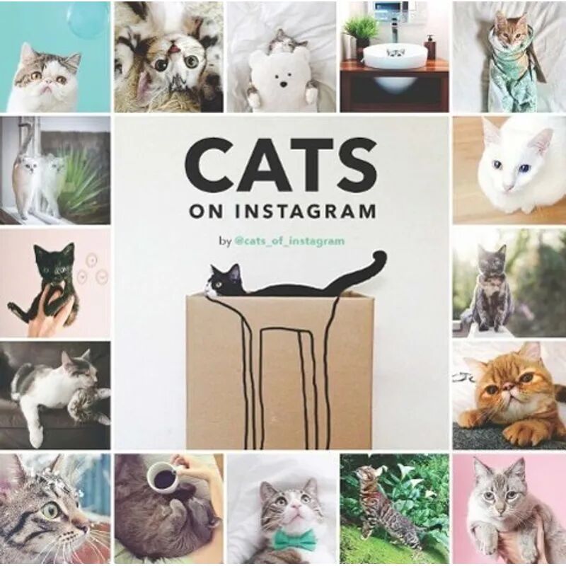 Chronicle Books Cats on Instagram