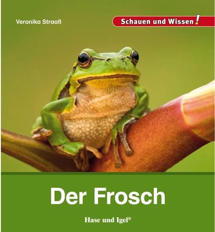 Hase und Igel Der Frosch