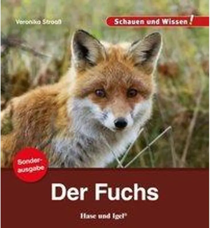 Hase und Igel Der Fuchs