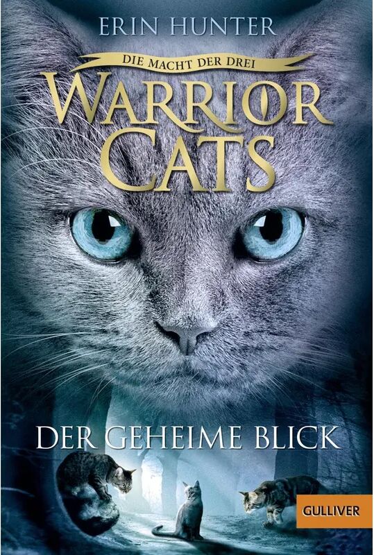 Beltz Der geheime Blick / Warrior Cats Staffel 3 Bd.1