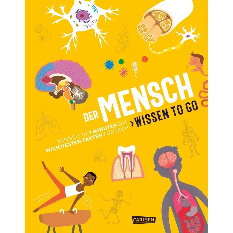 Carlsen Der Mensch - Wissen to go