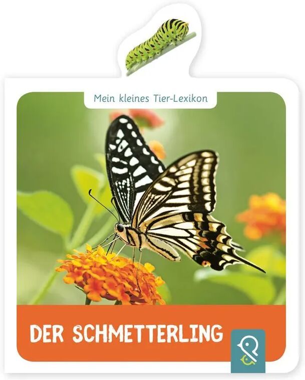 klein & groß Verlag Der Schmetterling