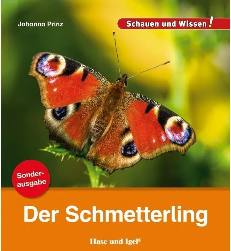 Hase und Igel Der Schmetterling