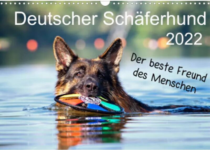 Calvendo Deutscher Schäferhund - Der beste Freund des Menschen (Wandkalender 2022 DIN...