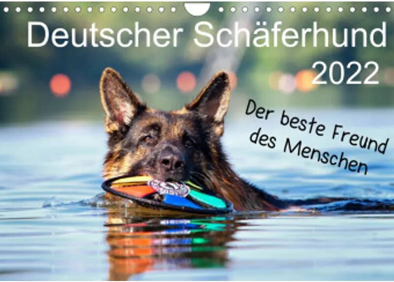 Calvendo Deutscher Schäferhund - Der beste Freund des Menschen (Wandkalender 2022 DIN...