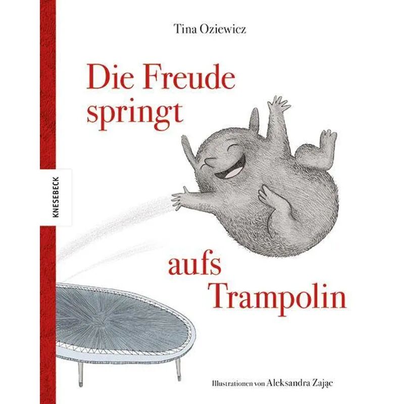 Knesebeck Die Freude springt aufs Trampolin