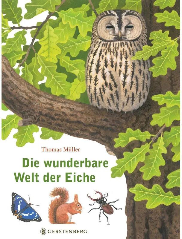 Gerstenberg Verlag Die wunderbare Welt der Eiche