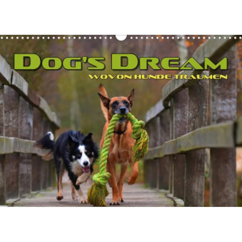 Calvendo DOG'S DREAM - wovon Hunde träumen (Wandkalender 2022 DIN A3 quer)
