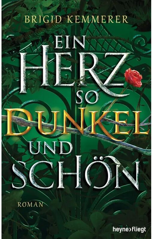 Heyne Ein Herz so dunkel und schön / Emberfall Bd.2